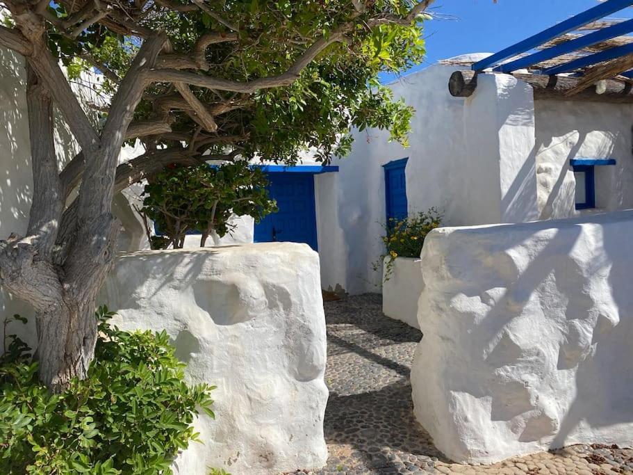 Villa Ocean View Pedro Barba Zewnętrze zdjęcie