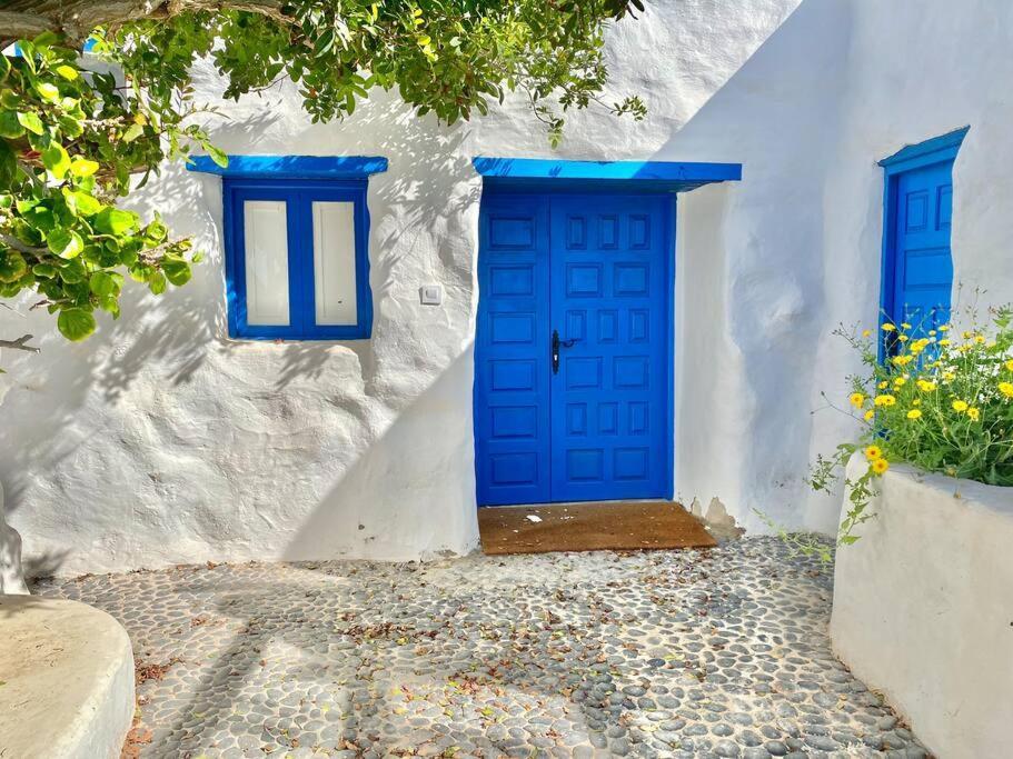 Villa Ocean View Pedro Barba Zewnętrze zdjęcie